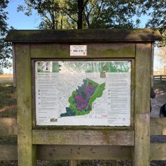 Class 3c goes on an excursion to the Gildehauser Venn.