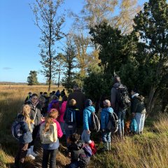 La classe 3c part en excursion dans les Fagnes de Gildehausen.