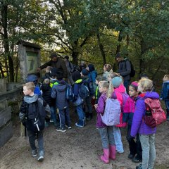 La classe 3c part en excursion dans les Fagnes de Gildehausen.