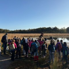 La classe 3c part en excursion dans les Fagnes de Gildehausen.