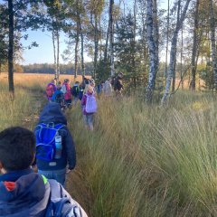 La classe 3c part en excursion dans les Fagnes de Gildehausen.