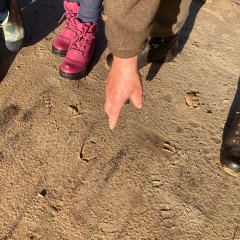 La classe 3c part en excursion dans les Fagnes de Gildehausen.