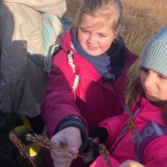 La classe 3c part en excursion dans les Fagnes de Gildehausen.