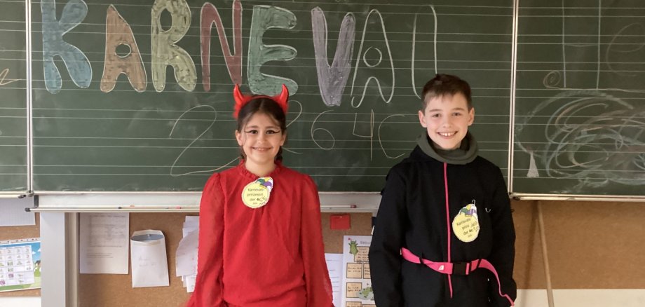 Carnaval dans la 4c - 13.02.2026