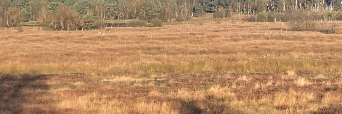 A 3c osztály kirándulni megy a Gildehauser Vennbe.