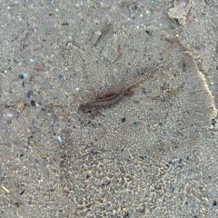 3c반은 길데하우저 벤으로 여행을 떠납니다.