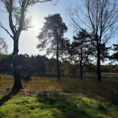 Klasse 3c drar på utflukt til Gildehauser Venn.