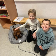 Onze schoolhond Hermine