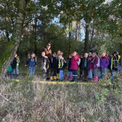 Klas 3c gaat op excursie naar het Gildehauser Venn.