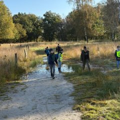 Klas 3c gaat op excursie naar het Gildehauser Venn.