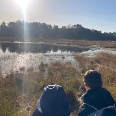 Klas 3c gaat op excursie naar het Gildehauser Venn.