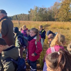 Klas 3c gaat op excursie naar het Gildehauser Venn.