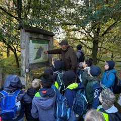 Clasa 3c merge într-o excursie la Gildehauser Venn.