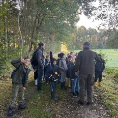 Clasa 3c merge într-o excursie la Gildehauser Venn.