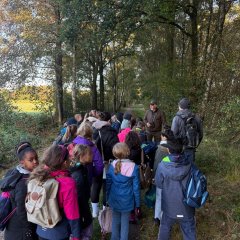 Clasa 3c merge într-o excursie la Gildehauser Venn.