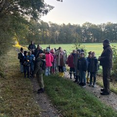 Clasa 3c merge într-o excursie la Gildehauser Venn.