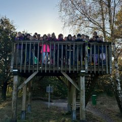 Clasa 3c merge într-o excursie la Gildehauser Venn.