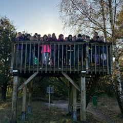 Clasa 3c merge într-o excursie la Gildehauser Venn.