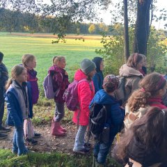 Clasa 3c merge într-o excursie la Gildehauser Venn.
