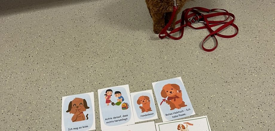 Vår skolhund Hermine