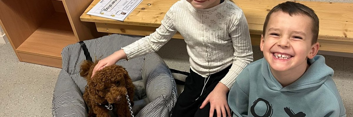 Vår skolhund Hermine