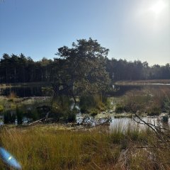 Клас 3в вирушає на екскурсію до Гільдехаузер Венн.